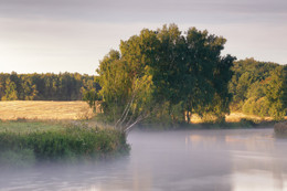 Der Morgen im August Svilochi / ***