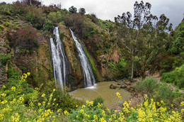 Frühling in Upper Galilee / ***