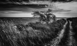 Durch das Meer / ***