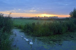A romantic morning. / ***
