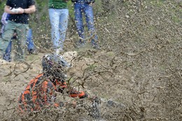 "Dirty" Sport / ***