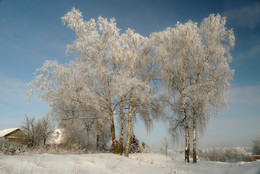 "Winter Day" / ***