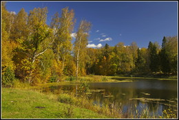 Goldener Herbst / ***