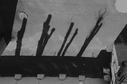 Schatten am Mittag / ---