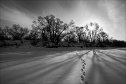 Schatten am Mittag / ***