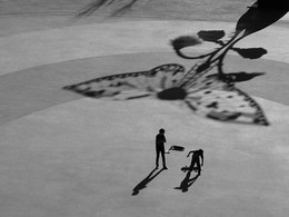 Schatten am Mittag / ***