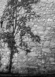 Schatten am Mittag / ***