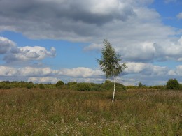 Russische Sommer / ***