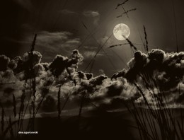 Vollmond / ***