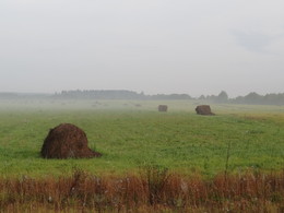 Herbst in der Nähe ... / ***