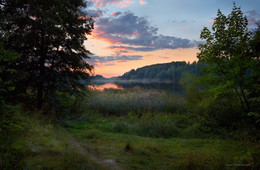 Über die Stille eines Sommerabend / ***