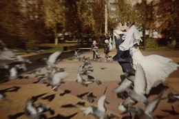 Die Braut und Bräutigam / ***