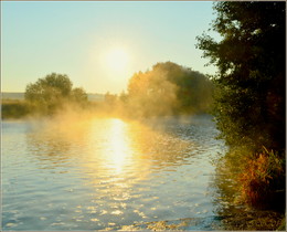 Morgen / ***