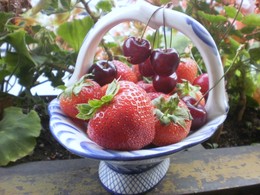 Sommer-Thema / ***