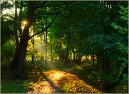 im Park / ***