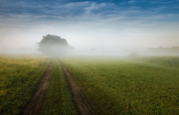 Der Weg in den Morgen / ***