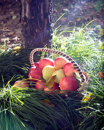 Sommer entweicht / egorovstudio.ru