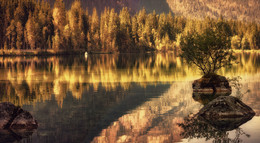 In der Stille reflektiert / ***