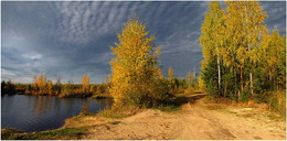 Autumn Gold / ***