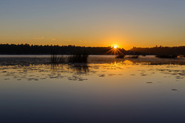 Morgen auf dem See / ***