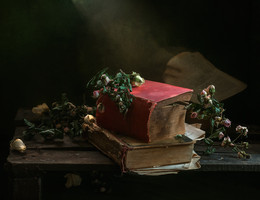 Passwort Romane ... / ...