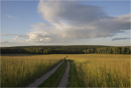 Russische Feld / ***