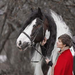 Horse - ein Rätsel / ***