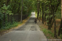 Weg / ***