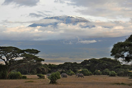 Mount Kilimanjaro "in den Sonnenuntergang!" / ***