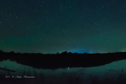 Silent Night / ***