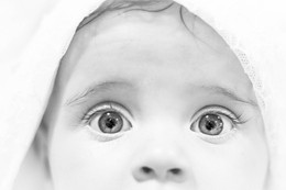 Die Augen! / ***