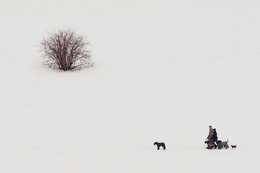 Die Schneewehe / ***