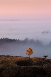An der Schwelle zum Herbst / Nikon D3100 Body
55-200mm f/4-5.6G AF-S DX VR IF-ED Zoom-Nikkor