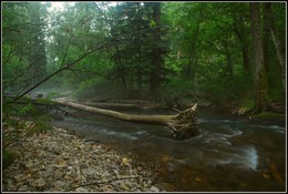 Ussuri-Region / ***