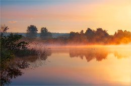 Sonniger Morgen / ***