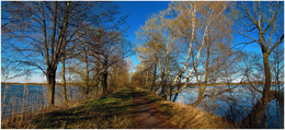 Auf dem Weg die Schatten ... / ***