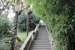 Treppe / ***
