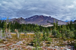 Mount Shasta / ***