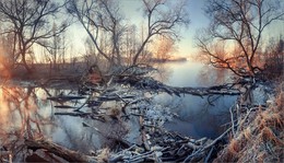 Winter / ***