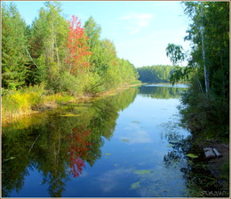 Zeichen des Herbstes / ***