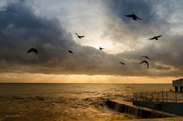 Vor dem Sturm / ***