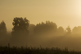 Morgennebel / ***