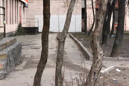  / ***