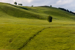 Landschaft / ***