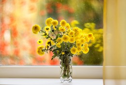 Herbstmorgen / _____
