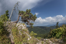 Plateau See Naki.Adygeya / ***