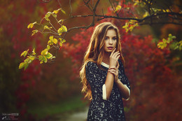 Mädchen-Fall / ***