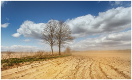 Frühlingswind / ***
