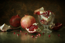 Granatbaum / ...