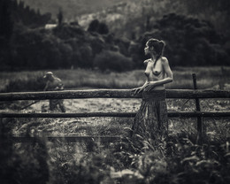 Heuernte / ***